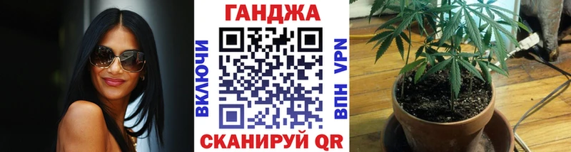Как найти наркотики Вышний Волочёк Бошки Шишки  Галлюциногенные грибы  ГАШИШ  Меф мяу мяу  Cocaine  Alpha PVP 