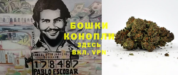 стафф Бронницы