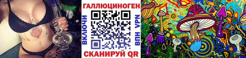 omg зеркало Вышний Волочёк Галлюциногенные грибы Psilocybine cubensis купить наркотики цена